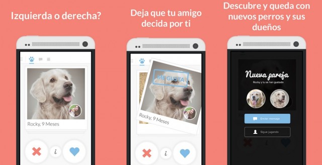 Tindog el tinder de los perros